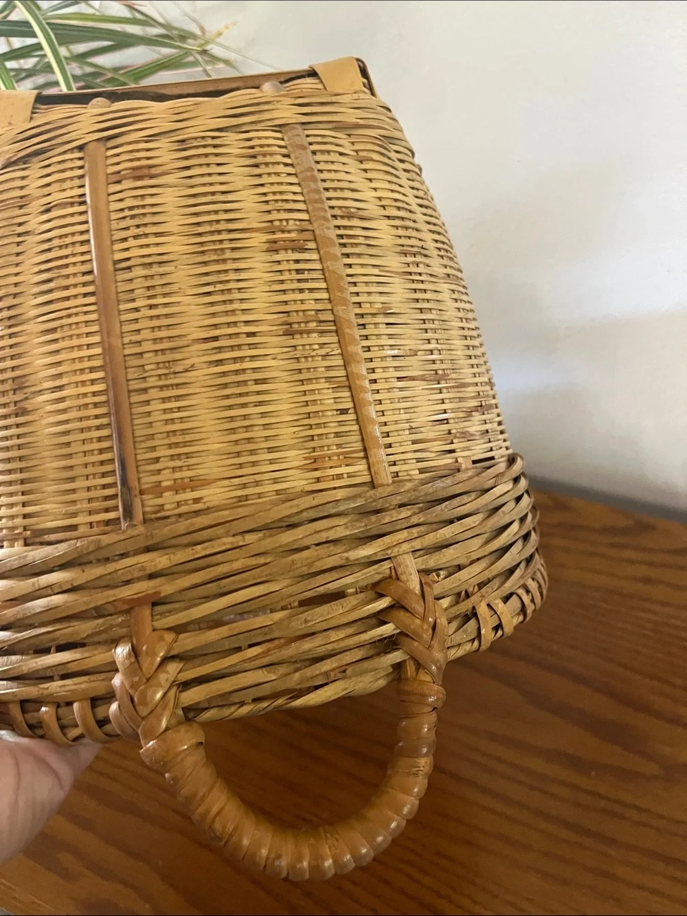 Handwoven Natural Rattan Basket with Loop Handles - Tan